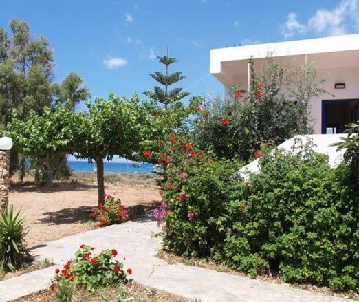 Fragokastello Star Apartamento Frangokastello Exterior foto